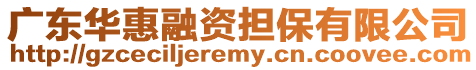 廣東華惠融資擔保有限公司