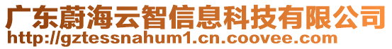 廣東蔚海云智信息科技有限公司