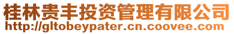 桂林貴豐投資管理有限公司