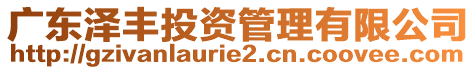 廣東澤豐投資管理有限公司