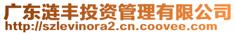 廣東漣豐投資管理有限公司