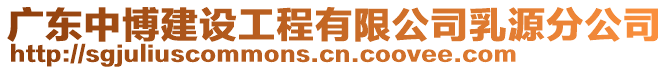 广东中博建设工程有限公司乳源分公司