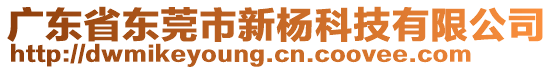 广东省东莞市新杨科技有限公司