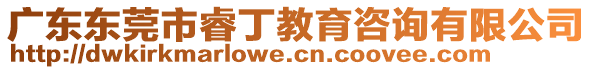 廣東東莞市睿丁教育咨詢有限公司