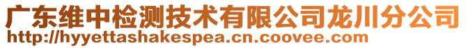 廣東維中檢測技術有限公司龍川分公司