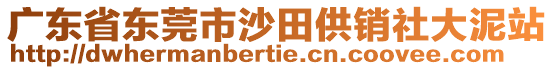 廣東省東莞市沙田供銷社大泥站