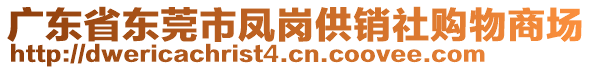 廣東省東莞市鳳崗供銷社購物商場