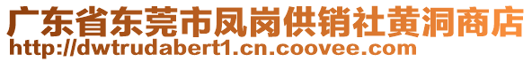 廣東省東莞市鳳崗供銷社黃洞商店