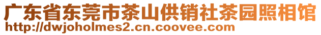 廣東省東莞市茶山供銷(xiāo)社茶園照相館