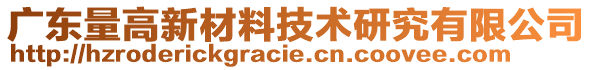 廣東量高新材料技術(shù)研究有限公司