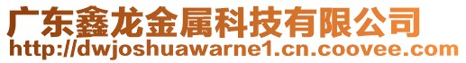 廣東鑫龍金屬科技有限公司