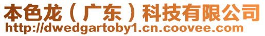 本色龍(廣東)科技有限公司