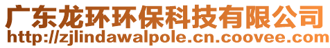 廣東龍環(huán)環(huán)保科技有限公司