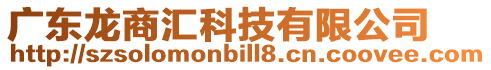 廣東龍商匯科技有限公司