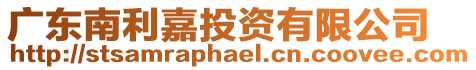 廣東南利嘉投資有限公司