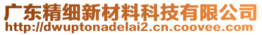 廣東精細(xì)新材料科技有限公司