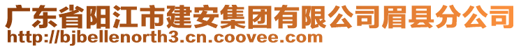 廣東省陽江市建安集團(tuán)有限公司眉縣分公司