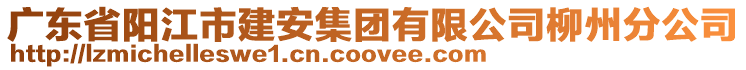 廣東省陽江市建安集團(tuán)有限公司柳州分公司