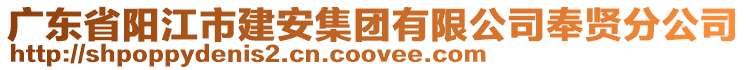 廣東省陽江市建安集團有限公司奉賢分公司