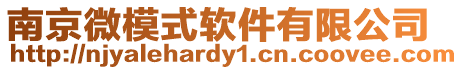 南京微模式軟件有限公司