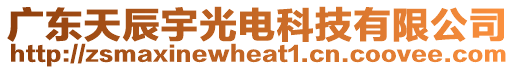 廣東天辰宇光電科技有限公司