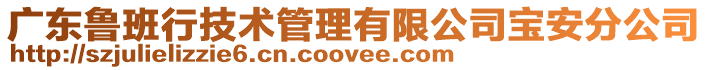 廣東魯班行技術管理有限公司寶安分公司