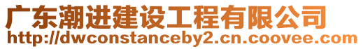 廣東潮進(jìn)建設(shè)工程有限公司