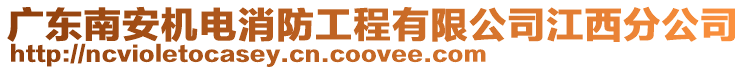 廣東南安機電消防工程有限公司江西分公司
