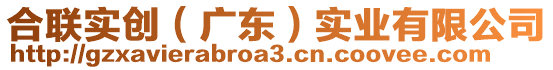 合聯實創（廣東）實業有限公司