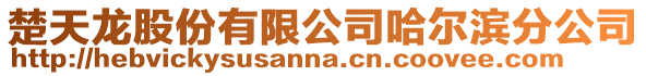 楚天龍股份有限公司哈爾濱分公司