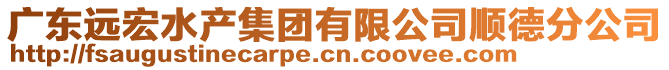 廣東遠(yuǎn)宏水產(chǎn)集團(tuán)有限公司順德分公司