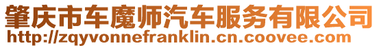 肇慶市車魔師汽車服務(wù)有限公司