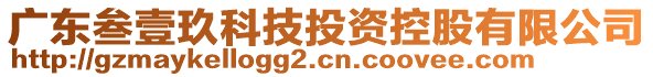 廣東叁壹玖科技投資控股有限公司