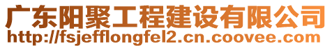 廣東陽聚工程建設(shè)有限公司