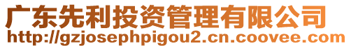 廣東先利投資管理有限公司