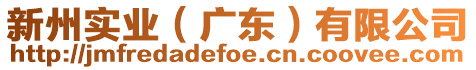新州實業(yè)(廣東)有限公司