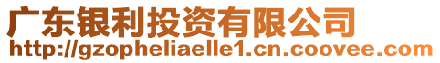 廣東銀利投資有限公司