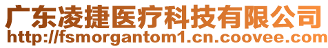 廣東凌捷醫(yī)療科技有限公司