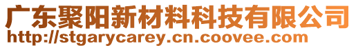 廣東聚陽(yáng)新材料科技有限公司