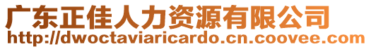 廣東正佳人力資源有限公司