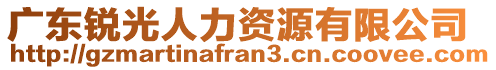 廣東銳光人力資源有限公司