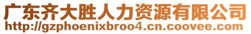 廣東齊大勝人力資源有限公司