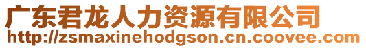 廣東君龍人力資源有限公司
