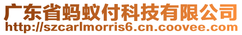 廣東省螞蟻付科技有限公司