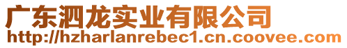 廣東泗龍實(shí)業(yè)有限公司