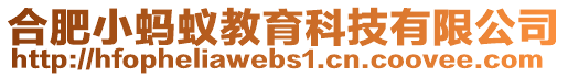 合肥小螞蟻教育科技有限公司