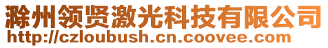 滁州領(lǐng)賢激光科技有限公司