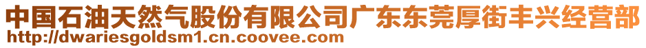 中國(guó)石油天然氣股份有限公司廣東東莞厚街豐興經(jīng)營(yíng)部