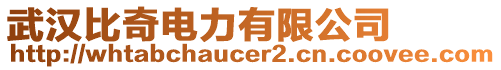 武漢比奇電力有限公司