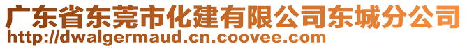 廣東省東莞市化建有限公司東城分公司